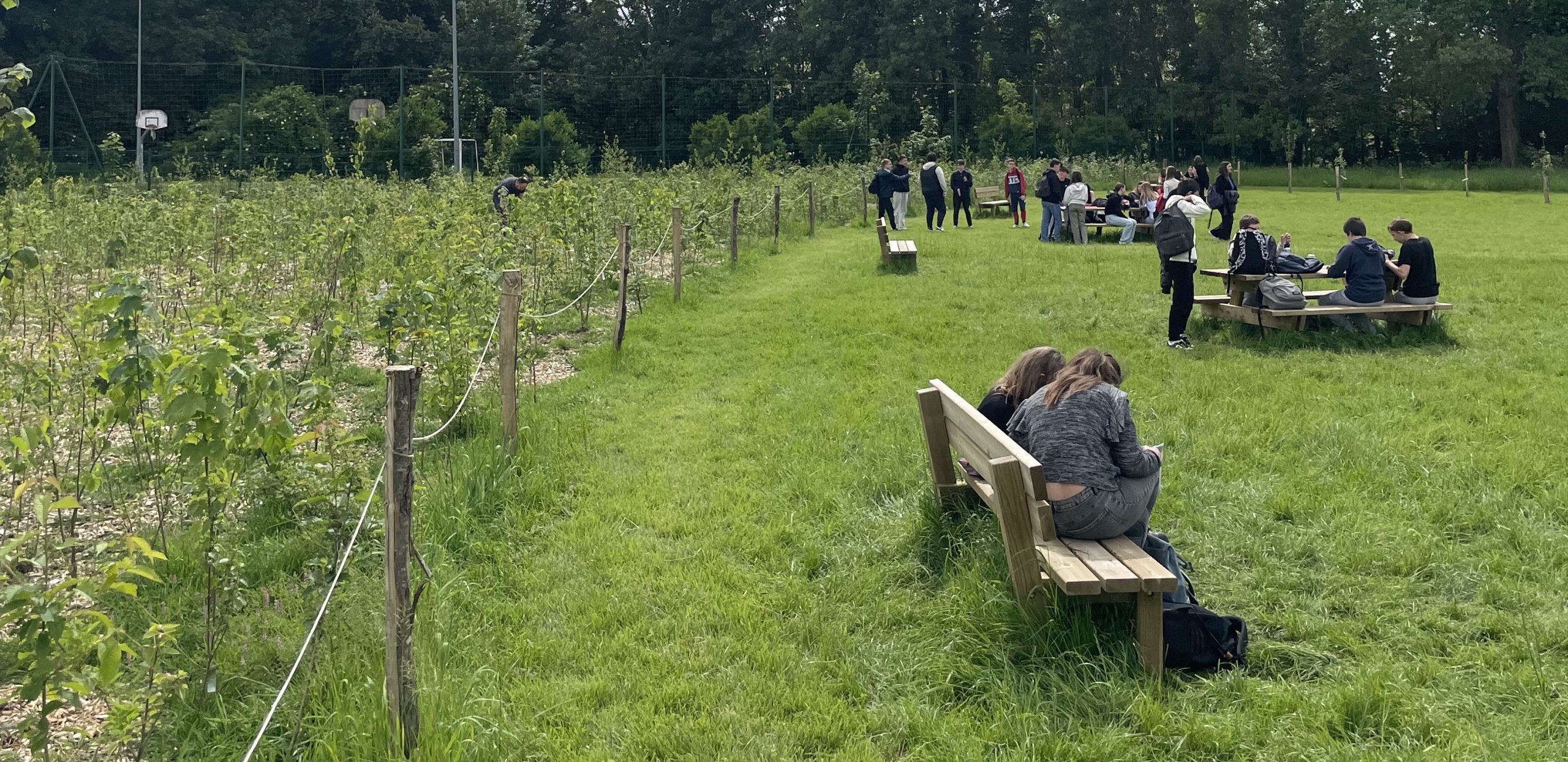 Cour d'école mobilier