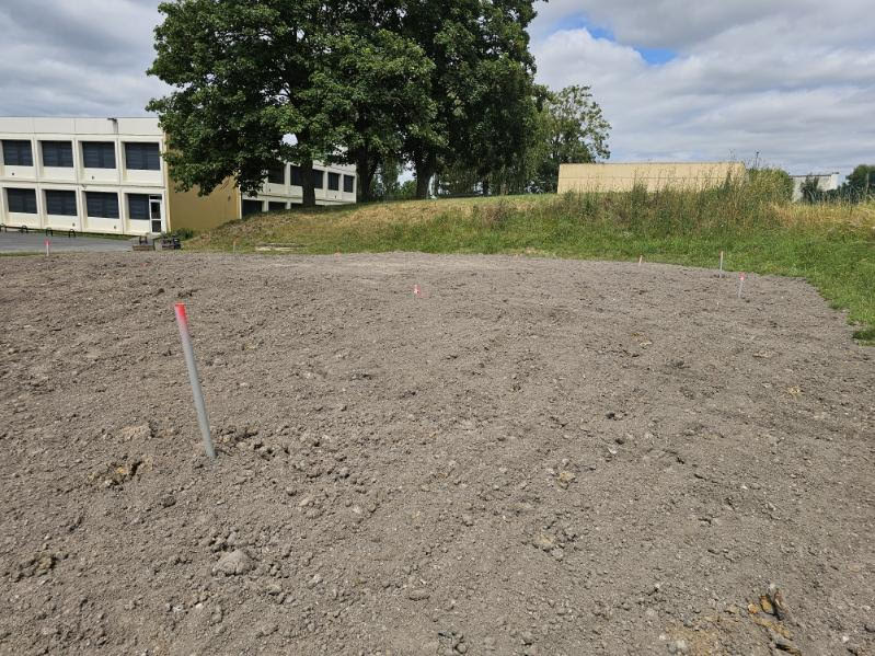 Débitumisation cours école